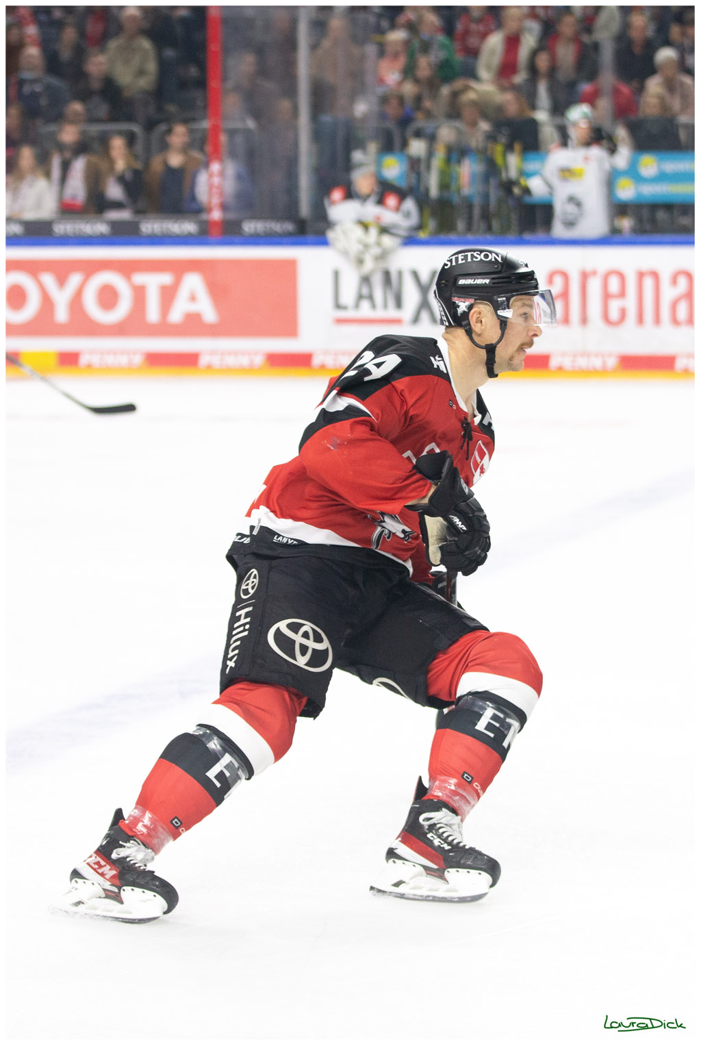 PENNY DEL;  Koelner Haie - Krefeld Pinguins; Koeln, 31.10.2021